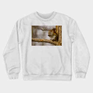 Red Squirrel Crewneck Sweatshirt